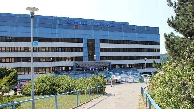 Prahu čeká fúze nemocnic. Homolka se sloučí s Motolem, oznámil Válek