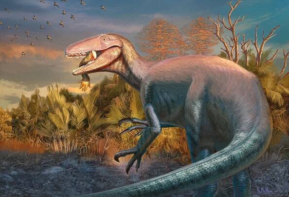 Nový dinosaurus z Patagonie si pochutnával na krokodýlovi. Pak ale zkameněl