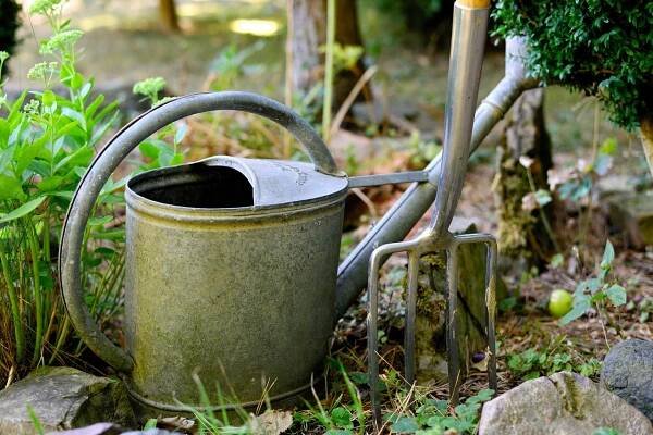 Zahradní terapie: Co je hortikulturní terapie?
