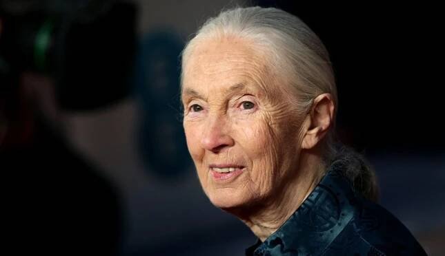 Goodbye, Jane Goodall. Ikona světové vědy i ochrany přírody zemřela ve věku 91 let