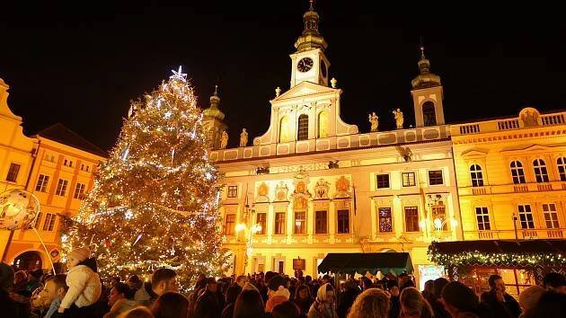 Budějovice už ví, odkud bude letošní vánoční strom