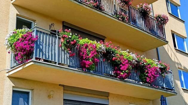 Nejhezčí balkon, okno i předzahrádka. Rozkvetlé Znojmo zná své vítěze