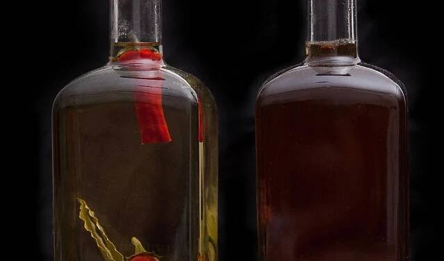 Alkohol - metla lidstva, nebo nápoj bohů? Pití alkoholu v dějinách