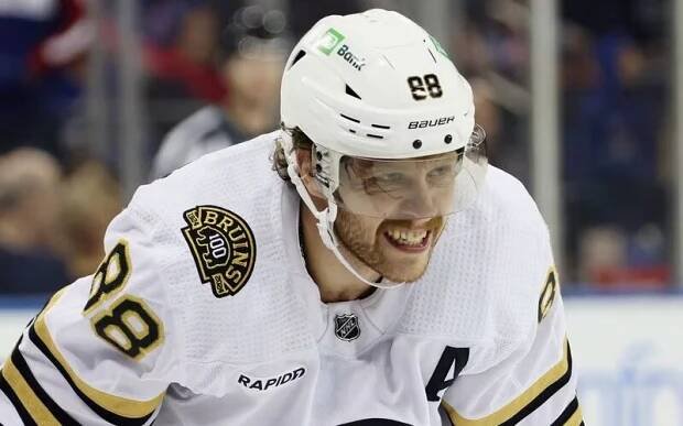 Češi a Slováci: 1+2! Pastrňák zařídil výhru Bostonu