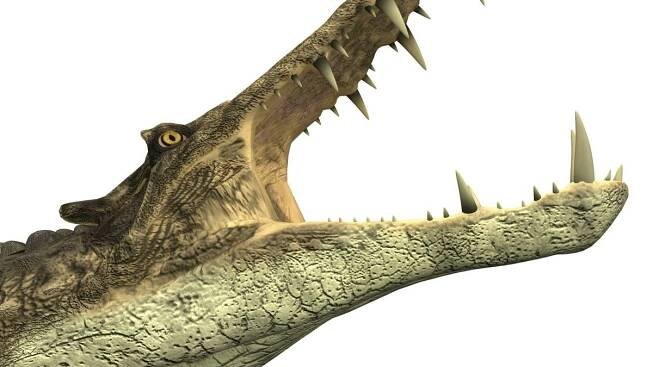 V Argentině našli ostatky krokodýla, který před 70 miliony lety lovil dinosaury