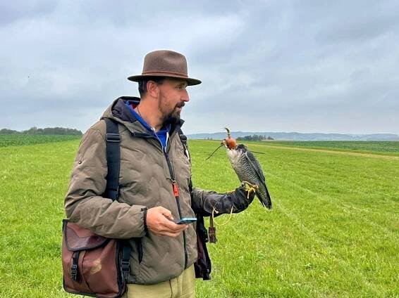 Začal 58. ročník tradičního sokolnického setkání. Dravci v Opočně soutěžili, kdo dřív dožene dron