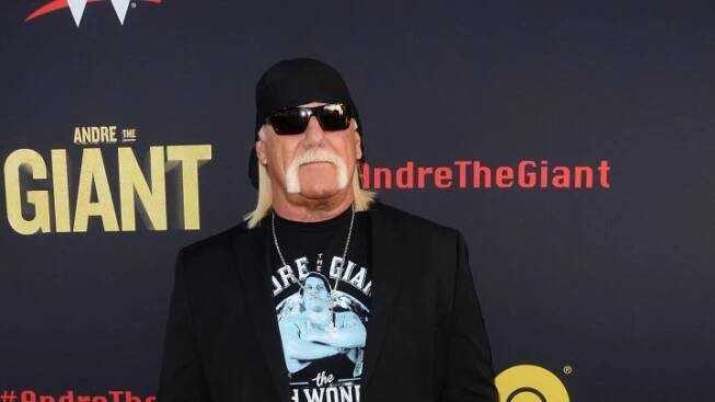 Hulk Hogan vydědil vlastní dceru