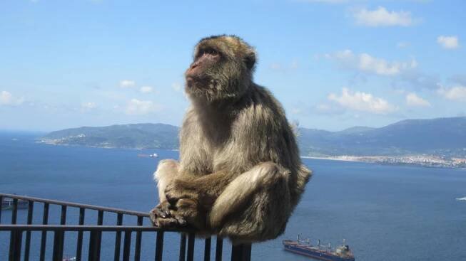 Gibraltar – britská „opičí skála“ sevřená mezi Andalusii a Afriku