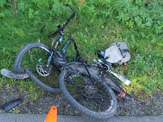 Padající strom vážně zranil projíždějícího cyklistu, policie hledá možného viníka