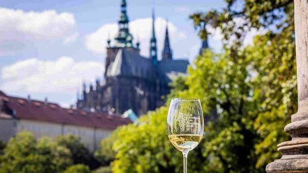 Vinařské regiony k ochutnání. A po vinných klenotech Hrad nabídne korunovační