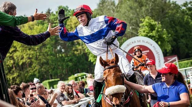 Velká pardubická. Tihle koně se vydají přes Taxis. Přijede i hvězdný Stumptown