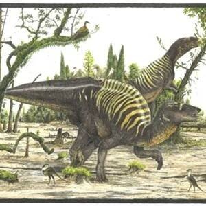 Kachnozobí dinosauři byli možná šediví jako sloni