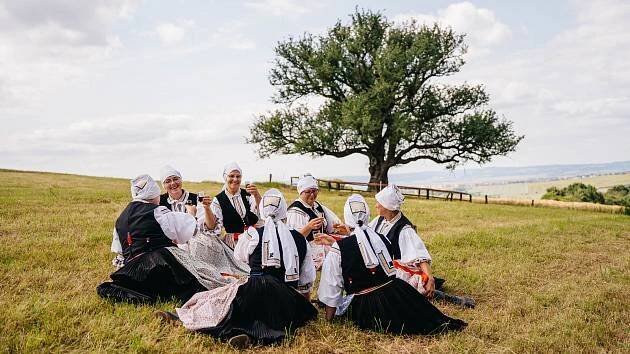 Hruška na Radovách z Míkovic bojuje o titul Strom roku. Hlasuje se do neděle