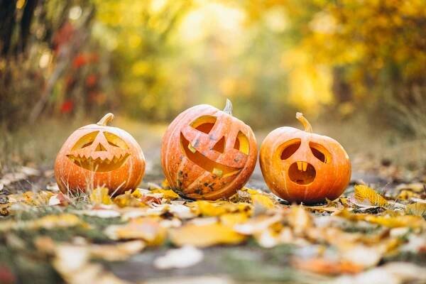 Slavíte Halloween? Zapomeňte na kýč, letos vládne příroda