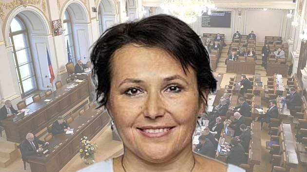Poslankyně Berkovcová obhájila mandát. Volební úspěch ANO jí „zaslepil smysly“