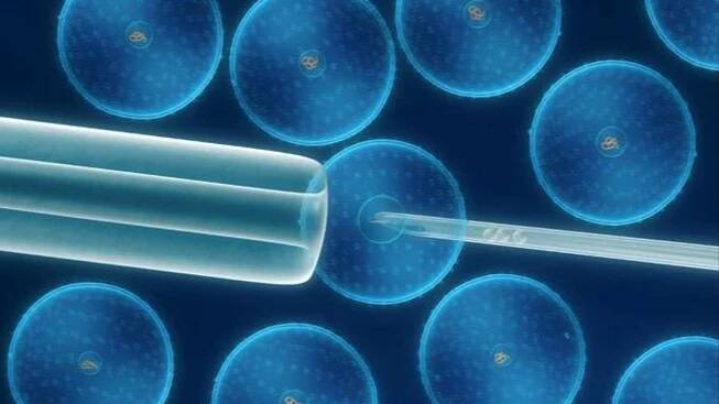 V Česku vznikla unikátní biobanka na kmenové buňky. Díky vypadlému dětskému zubu