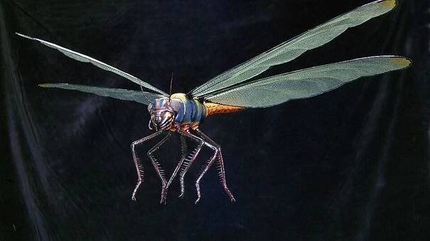 Meganeuropsis permiana: Permská obří královna oblohy
