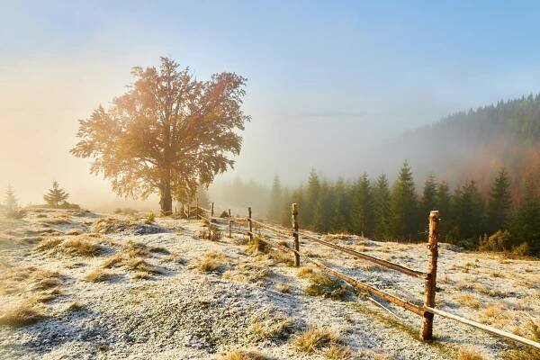 Podzim skončí rychleji, než jsme čekali. Meteorologové odhalili výhled, který slibuje teplotní zvrat, vítr i první sníh