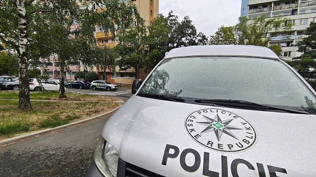 Konfrontace odpůrců s šéfy hnutí SPD na Jižním Městě vyvolala zásah policie