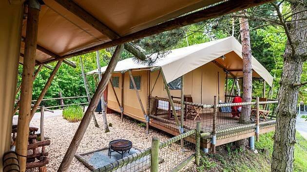 Kempy Dolce a Safari uspěly v anketě Kemp roku 2025