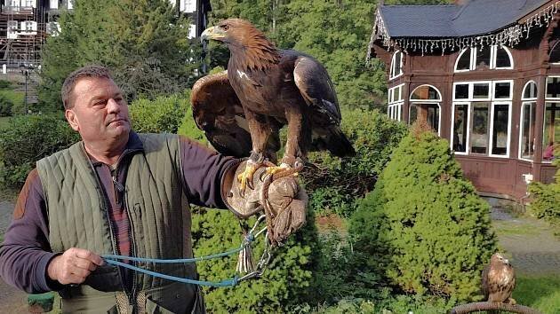 Letní sezonu v lázních Karlova Studánka zpestřili dravci. Zájem byl obrovský