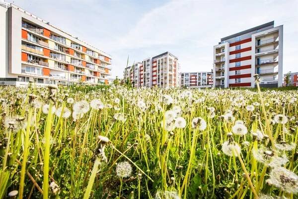 Dostupné bydlení. Praha rozšíří možnost čerpání z fondu, přestaví i ubytovnu