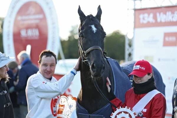 Loňský vítěz Velké pardubické Godfrey triumf obhajovat nebude, zranění koni ukončilo sezonu