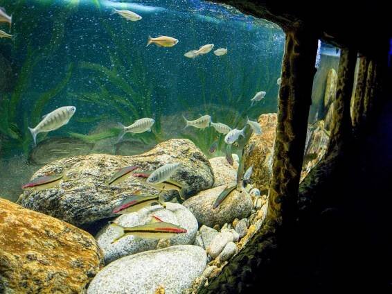 Zoo Mořský svět - Praha, Hlavní město Praha | Regiontourist.cz