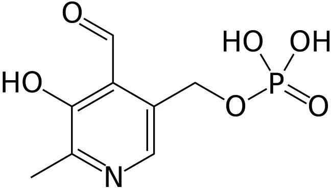 Pyridoxalfosfát
