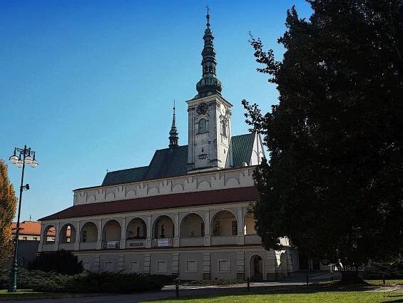 Muzeum v Prostějově - Muzeum | Turistika.cz
