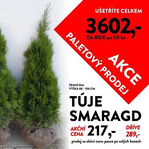AKCE paletový prodej - túje :: Zahradnictvi-plzen7