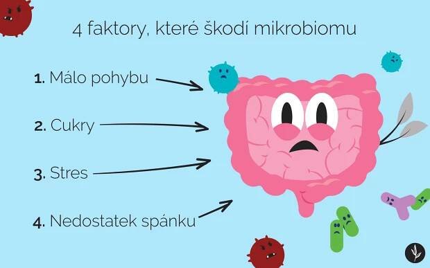 4-faktory-ktere-skodi-strevnimu-mikrobiomu-podle-helen
