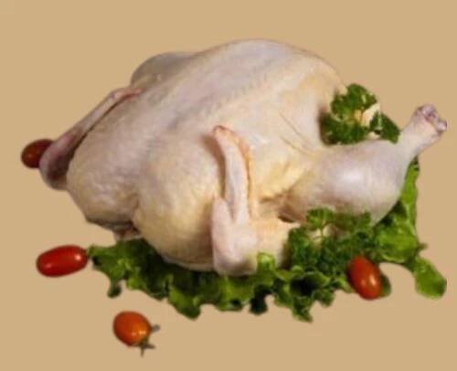 POZOR, AKČNÍ CENA!! Čerstvé chlazené veliké žluté královské KUŘE ZE DVORA - uvedená cena je za 1 kg - Venkovské Speciality
