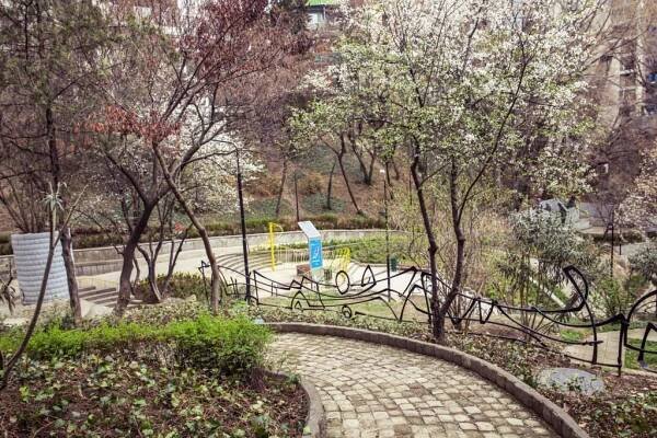 Мзиури Парк, Mziuri park
