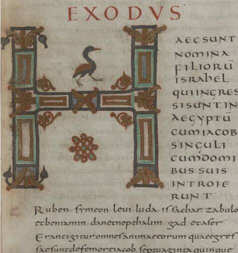 Codex – https://www.christopherhaanes.com