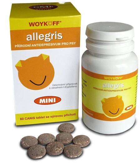 Woykoff Allegris mini sýrová příchuť 60 tablet