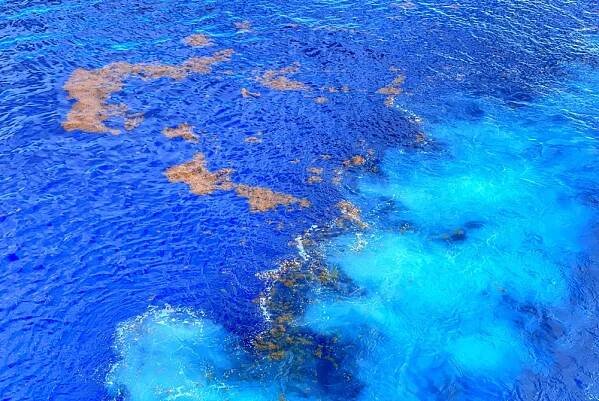 Sailing the Sargasso Sea with Viking Cruises
