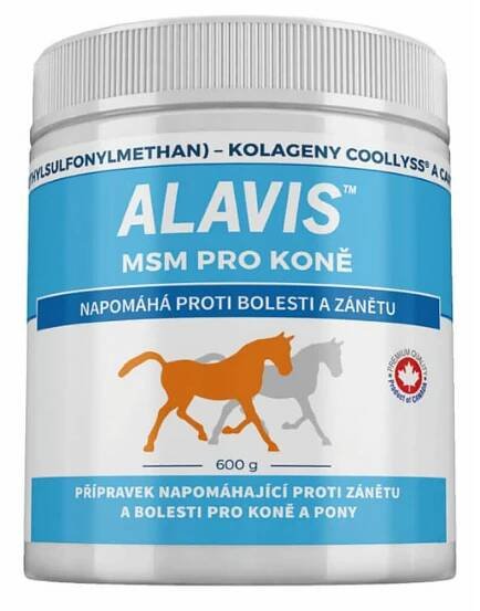 ALAVIS MSM PRO KONě A PONY PRášEK 600 G | Medicinous ČR