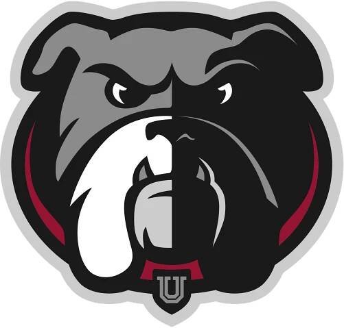 Union University Bulldogs