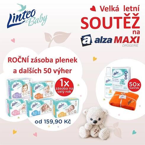 linteo-16-8
