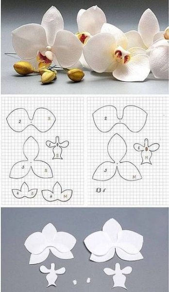 paper flowers cut out and placed on top of each other