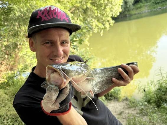 Unikátní úlovky. Monstra plavou v Dyji i ve vodách Vranovské přehrady