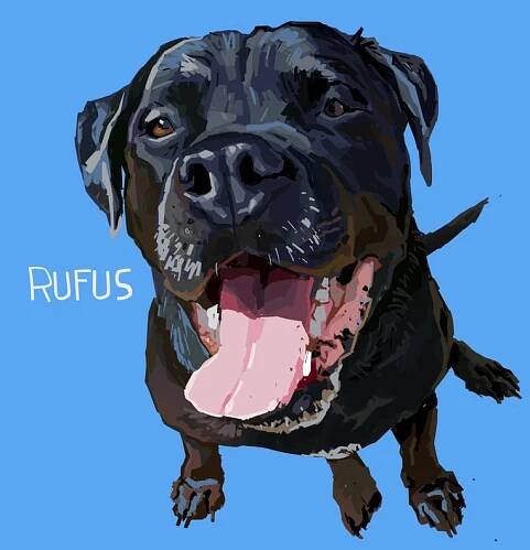 Gallery - Portraits for Pits