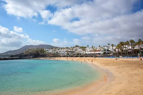 pláž flamingo ve městě playa blanca, v lanzarote, kanárské ostrovy, španělsko - lanzarote - stock snímky, obrázky a fotky