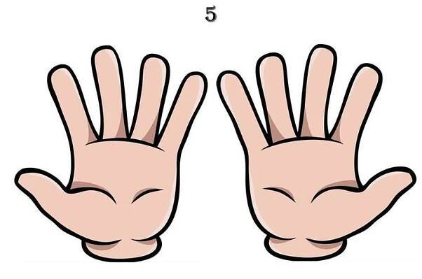 two hands are shown with the numbers 5 and 6 on each hand, which shows five fingers