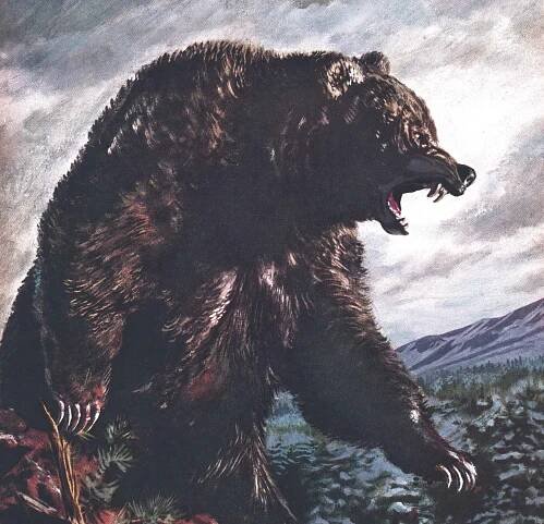 A Grizzly Killed Two Bears, Then Charged Me Next. He Should Have Been a World-Record