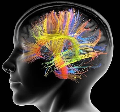 Psychologický test: Odpovězte na 4 otázky a zjistěte, jaký jste typ osobnosti a zda máte geniální myšlení - Expres FM