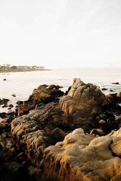 Scuba Dive, Snorkel, & Surf at Lover's Point Park, Monterey · Anna Tee