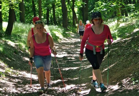 Kurz Nordic walking, Praha - Šárka, 7.6. 2014 - Nordic Sports
