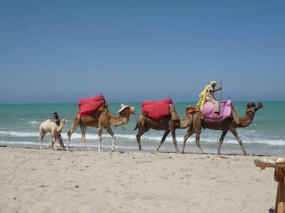 DAR EL KEBIR, Hôtel particulier, maison de Prestige, Djerba Tunisie à vendre. - Descriptif Dar El Kébir